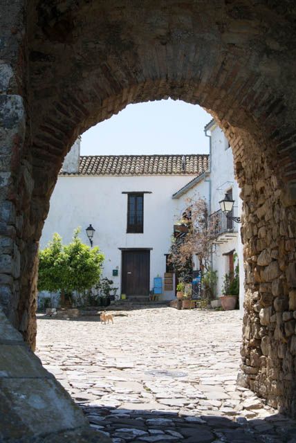 Visita Castellar Viejo y descubre todo lo que puedes hacer allí