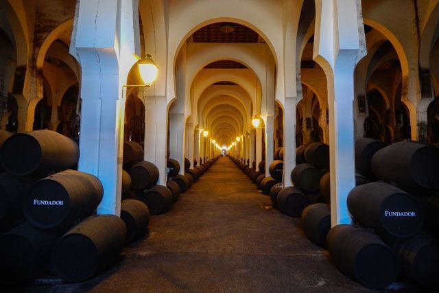 We have an amazing idea for you: visit Bodegas Fundador to have an incomparable experience in Jerez de la Frontera.