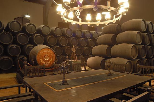 Visiting wineries is an exciting activity that we recommend you to do if you visit the province of Cadiz.