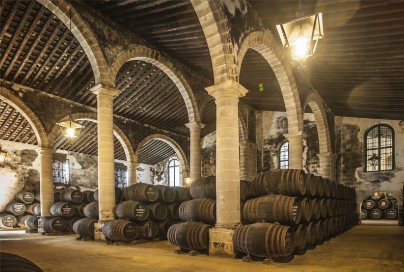 Bodegas Lustao, a renowned winery that you cannot miss.
