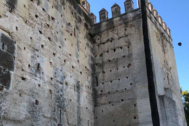 Muro del Alcázar de Jerez de la Fra.