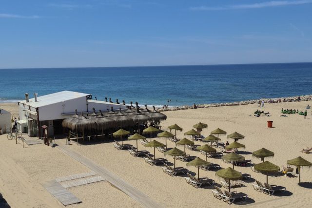 Tirabuzón es un pequeño oasis situado en la arena de la Playa de Santa María del Mar en Cádiz.