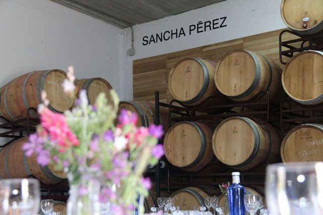 Sancha Pérez es una bodega y almazara en ecológico donde puedes conocer de primera mano cómo se elaboran el vino y el aceite de oliva virgen extra, desde el campo a la botella.