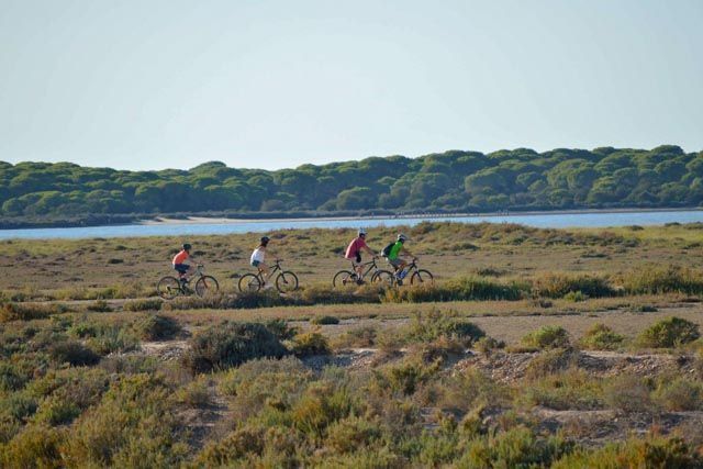 doñana Activa te permite descubrir, a su paso por Sanlúcar de Barrameda, el entorno natural de Doñana y el río Guadalquivir de una forma diferente, divertida y segura.