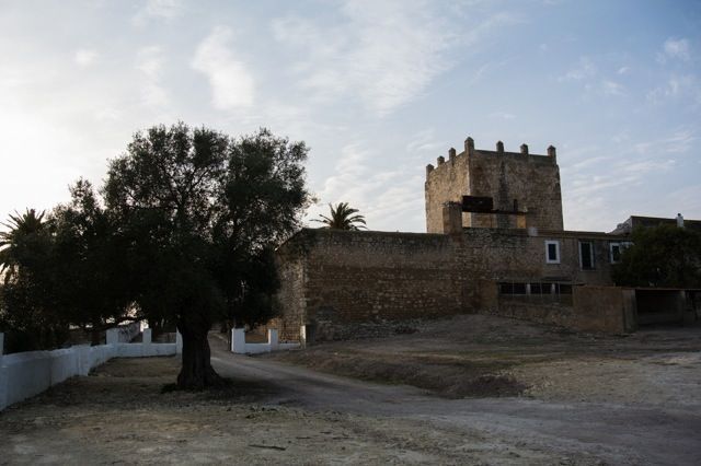 Castillo-y-Baños-de-Gigonza-San-Jose-del-Valle-001