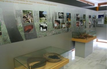 Centro de Visitantes El Bosque