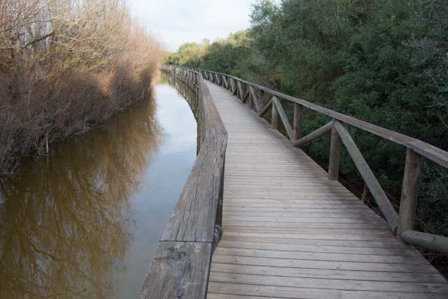 La Laguna de Medina cuenta con numerosos senderos.