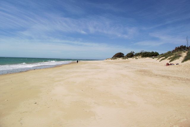 Playa de La Ballena - Playa en Rota (Provincia de Cádiz) - Tudestino