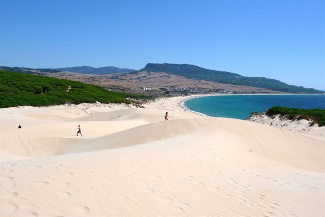 playa bolonia vista desde la duna