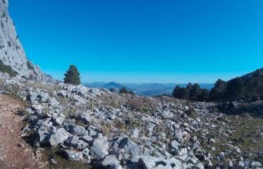 Ruta El Torreón – Grazalema