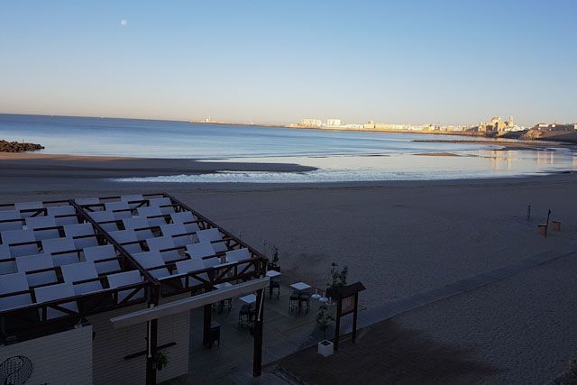 Tirabuzón es un pequeño oasis situado en la arena de la Playa de Santa María del Mar en Cádiz.
