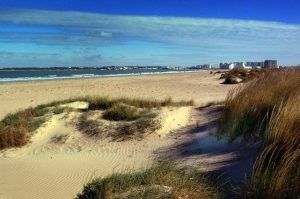 La Playa de Los Toruños es una playa aislada de núcleos urbanos, en excelente estado ambiental, en el Parque Natural de la Bahía de Cádiz, donde sopla fuerte el viento y puede practicarse el deporte de vela y windsurf.