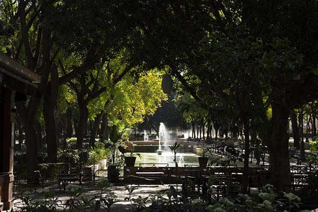 Plan de paz y sombra en el Parque Maria Luisa Sevilla.